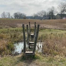 BSO De Duinclub foto 4