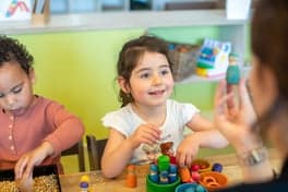 KDV Koolhoven foto 10