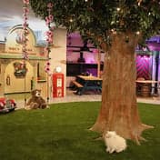 BSO VIPKids Gouda foto 10