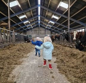 Kinderopvang Madelief