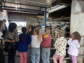 Kinderopvang Madelief foto 5