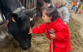 Kinderopvang Madelief foto 6