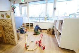 Doomijn Peuteropvang Geraniumstraat 2