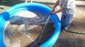 Kindercentrum Domino, BSO Breedeweg foto 8