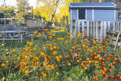 De Kleine Prins Lage Land foto 6