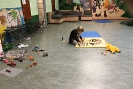 De Kleine Prins Lage Land foto 8