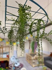 HOPPAS Almkerk de Almgaard foto 5