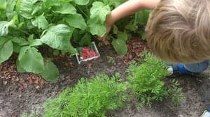 De Buitenboel foto 6