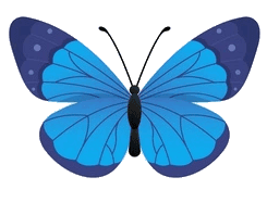 de Vlindertuin foto 5