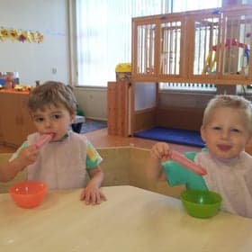 de Vlindertuin foto 6