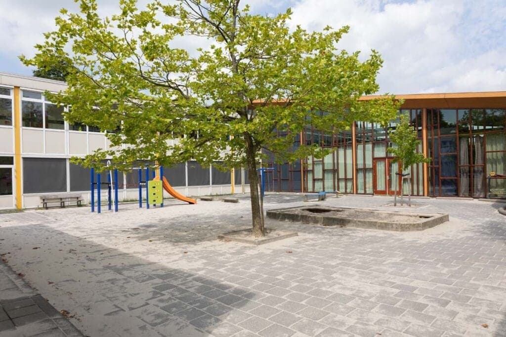 Kinderwoud POV De Windbreker foto 4