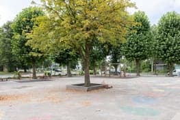 Kinderwoud POV De Windbreker foto 6