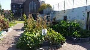 BSO+ De Sterren foto 4