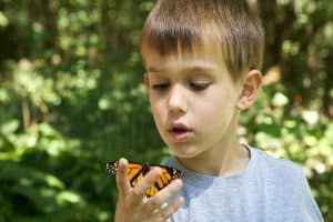 BSO+ De Sterren foto 5