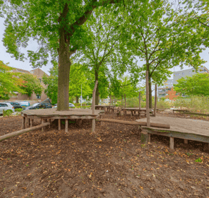 Talentencampus foto 10