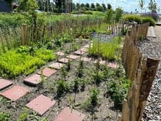 De Vuurvliegjes foto 7