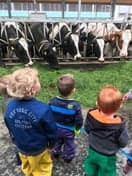 Kinderdagverblijf Koetjeboe foto 6