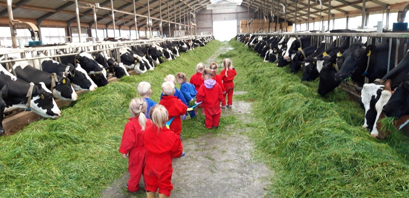 Kinderdagverblijf Koetjeboe foto 7