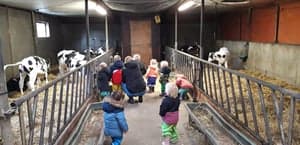 Kinderdagverblijf Koetjeboe foto 9