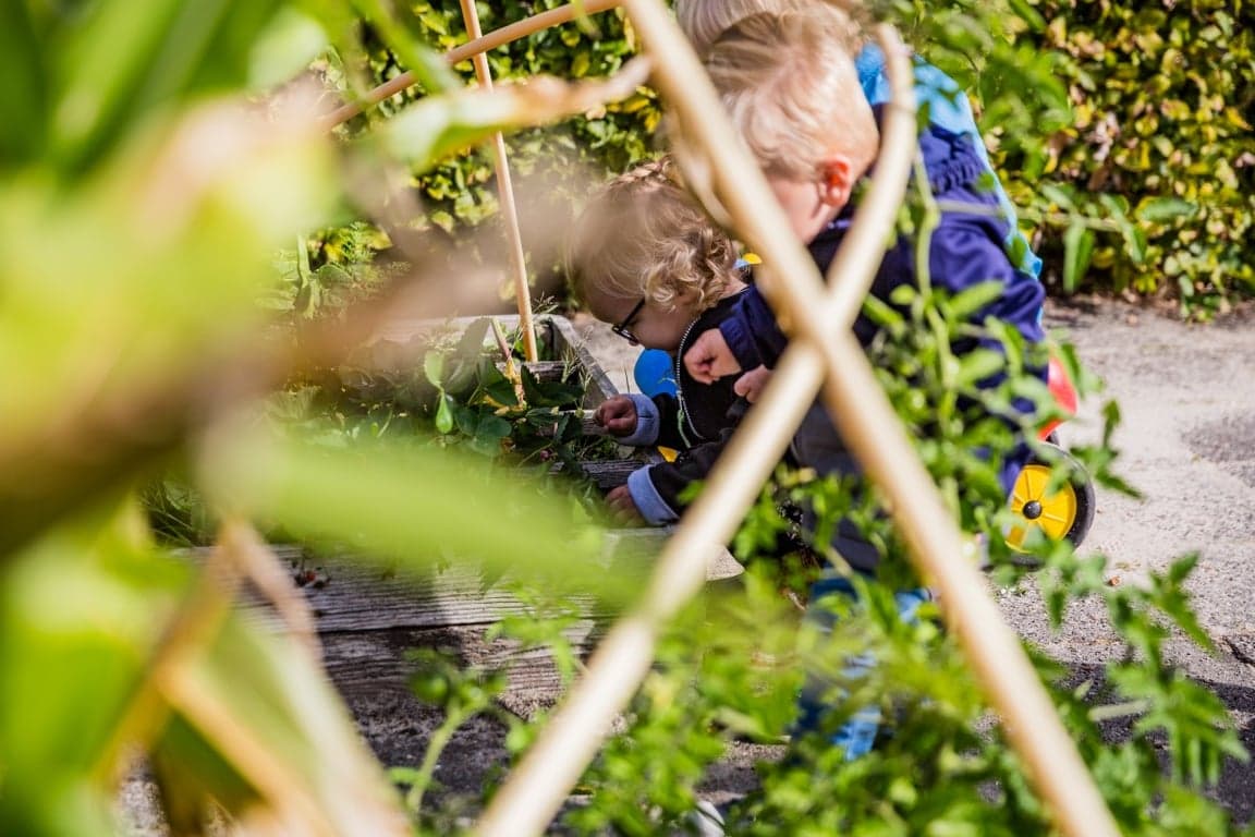 Kdv De 'Dassenburcht' Peuterplein Lutten foto 7