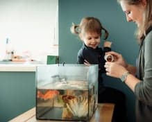 Stichting Abbo Kindcentra Kinderopvang - BSO Kindcentrum Kiezelrijk foto 8