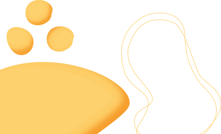 Stichting Abbo Kindcentra Kinderopvang - BSO Kindcentrum Kiezelrijk foto 9