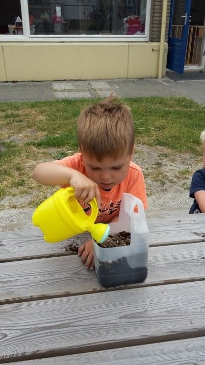 KDV Balk Bernefleur foto 6