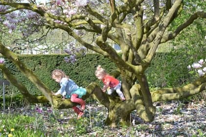 Peuterspeelzaal Klein Geluk foto 7