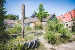 Powerkids Sport foto 6