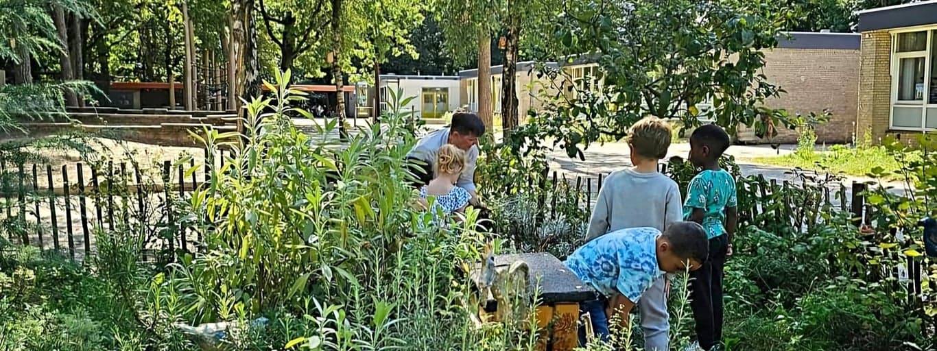 KDV Wandelbos foto 5