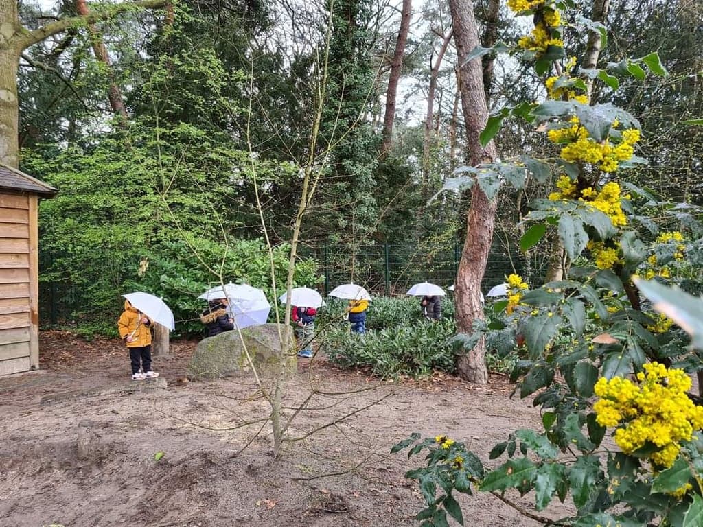 KDV Wandelbos foto 7