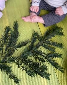 KDV Wandelbos foto 9