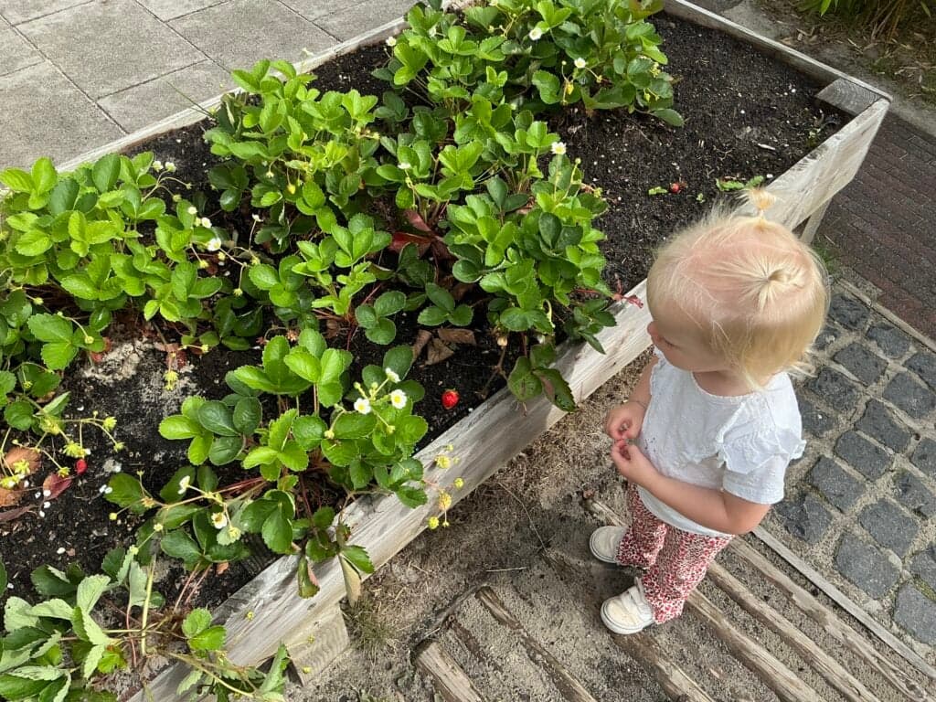 Doomijn KDV Kerkweg foto 10