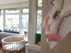 Flowerkids de Bloementuin foto 5