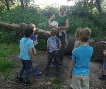 BSO Struin Goffert-Bison foto 10