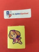 De Ridderspeelzaal foto 6