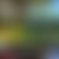 Kinderopvang De Groene Wereld 3