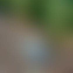 Kinderopvang De Groene Wereld foto 4