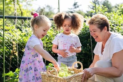 Groene wereld Luchtkasteel