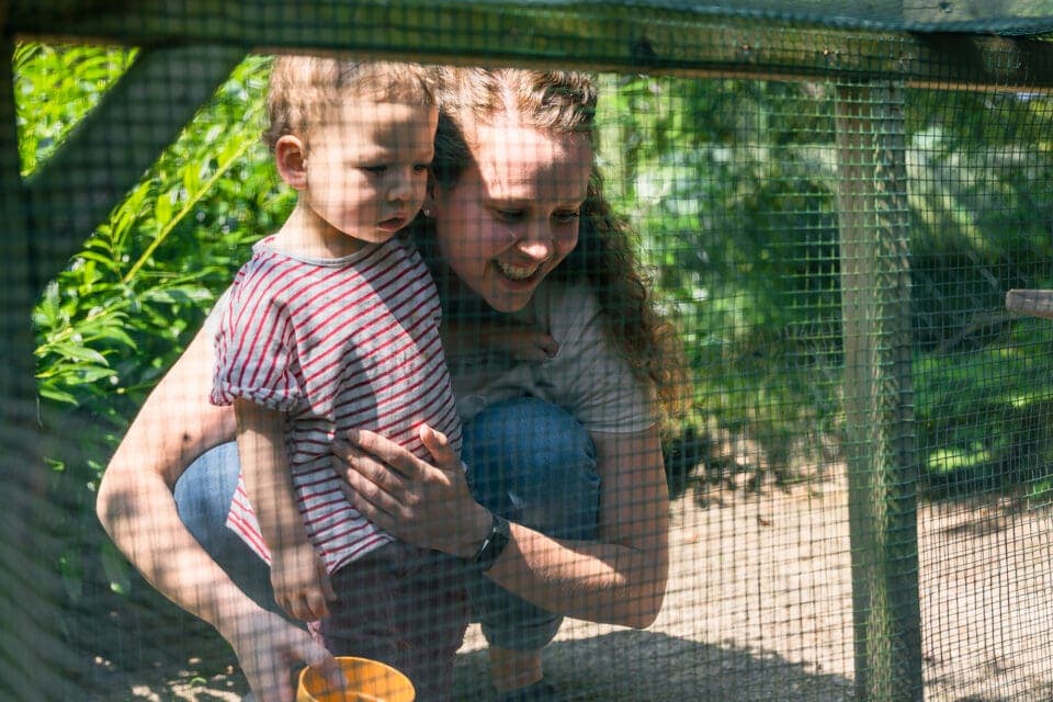 Groene wereld Luchtkasteel 3