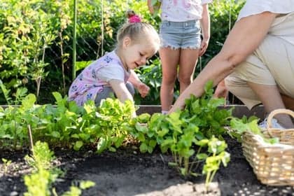 Groene wereld Luchtkasteel foto 4
