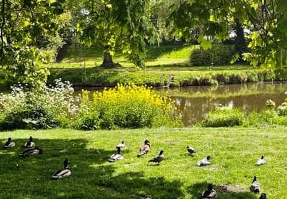 De Kleine Wereld Aldebaranplein B.V. 3