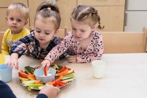 Kibeo Burg Mr Popstraat foto 5