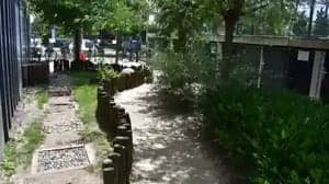 Kindercentrum Zevensprong foto 8