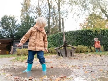 Basker - Chasséstraat 3