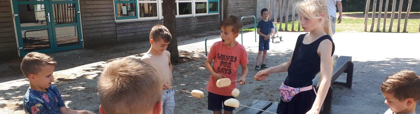 BSO De Klimboom foto 7