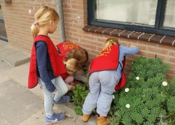 't Kasteel Roomburg (en Het Croontje) foto 4