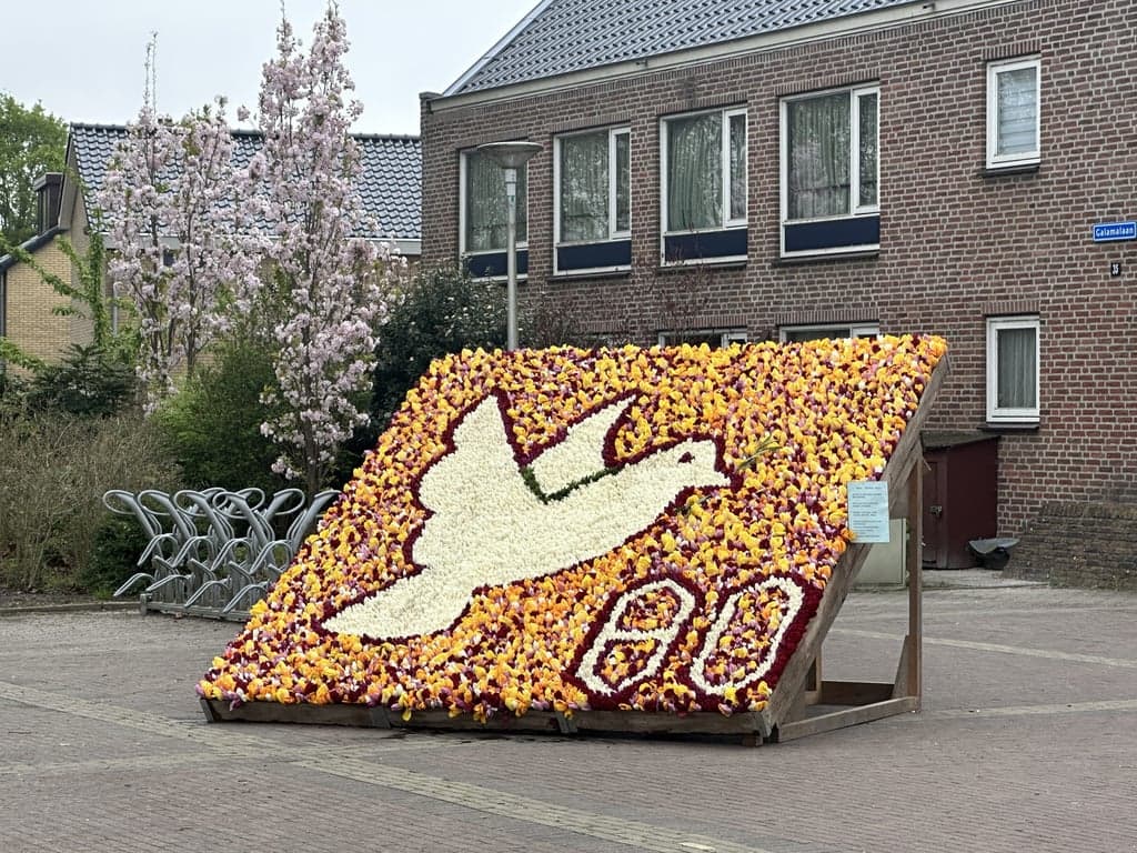 De Kliederkatjes 3