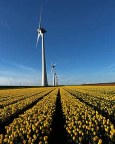 De Kliederkatjes foto 4