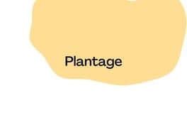 Plantage